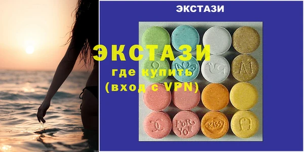 индика Алексин