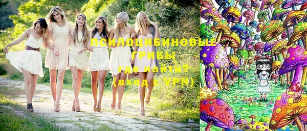 индика Алексин