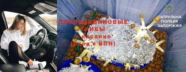индика Алексин