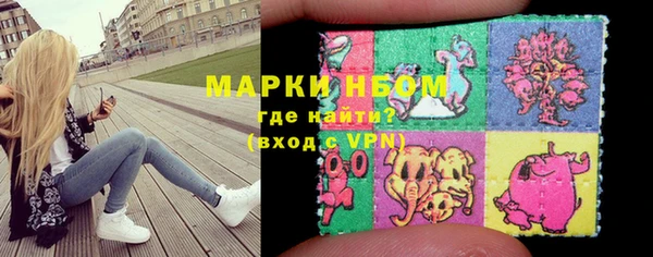 индика Алексин