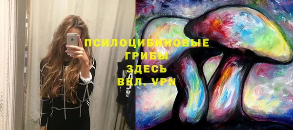 индика Алексин