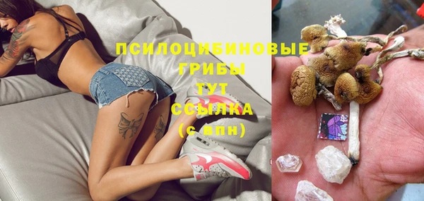 дживик Алзамай