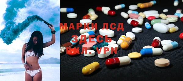 индика Алексин