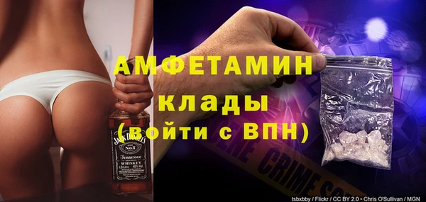 индика Алексин