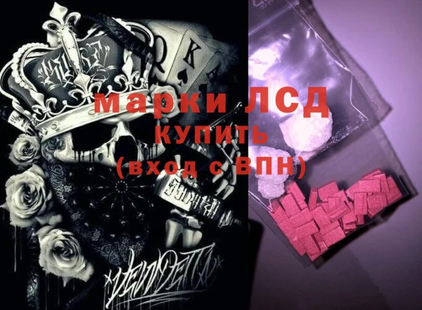 индика Алексин